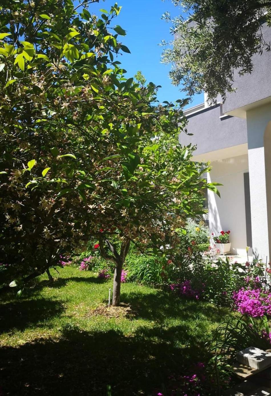 Apartmani Dianna Kaštela エクステリア 写真